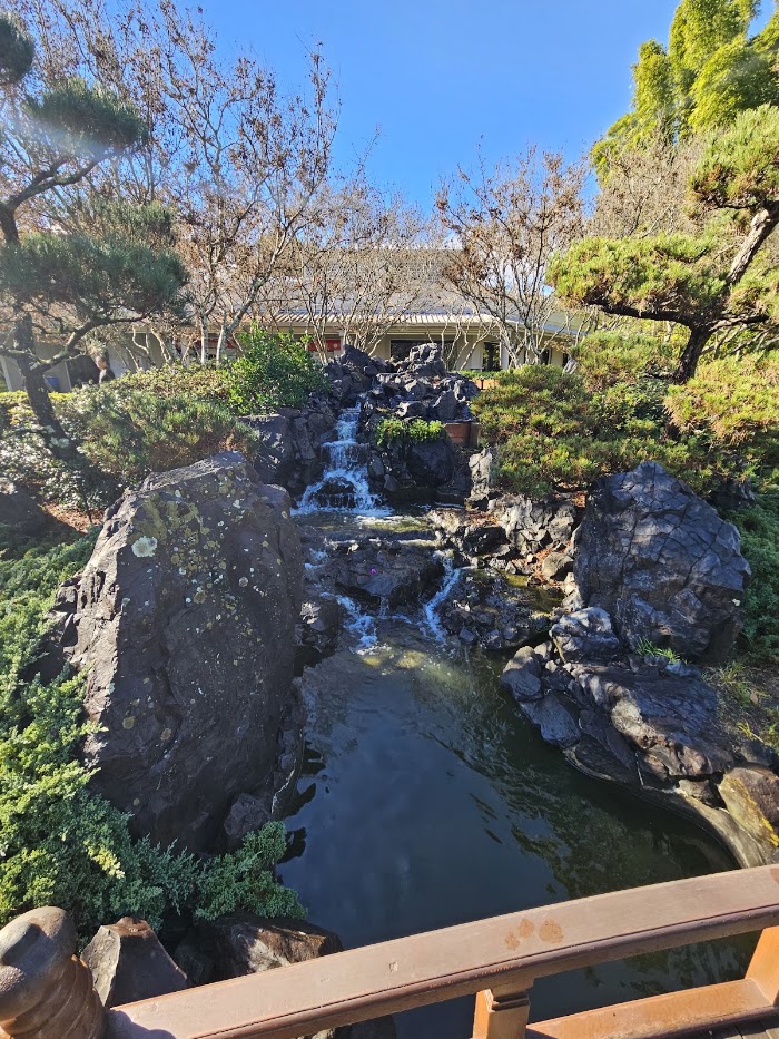 Photos 5