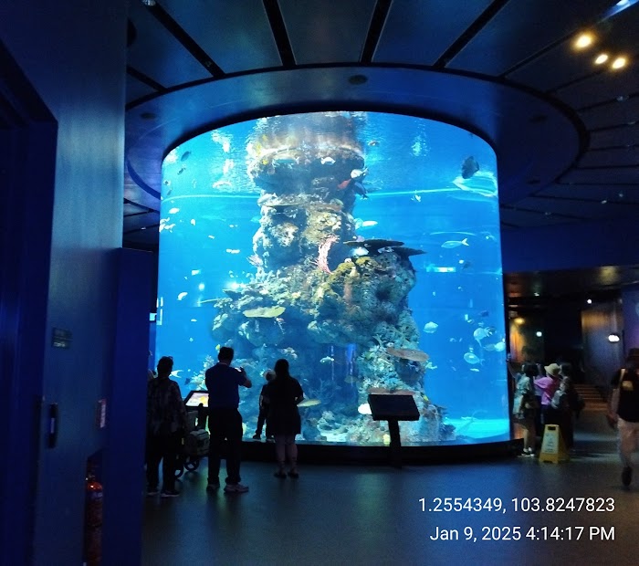Photos 5