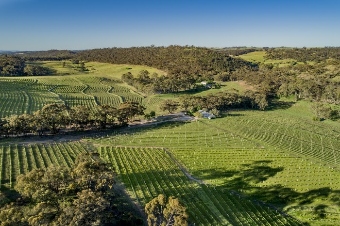 Photos 5